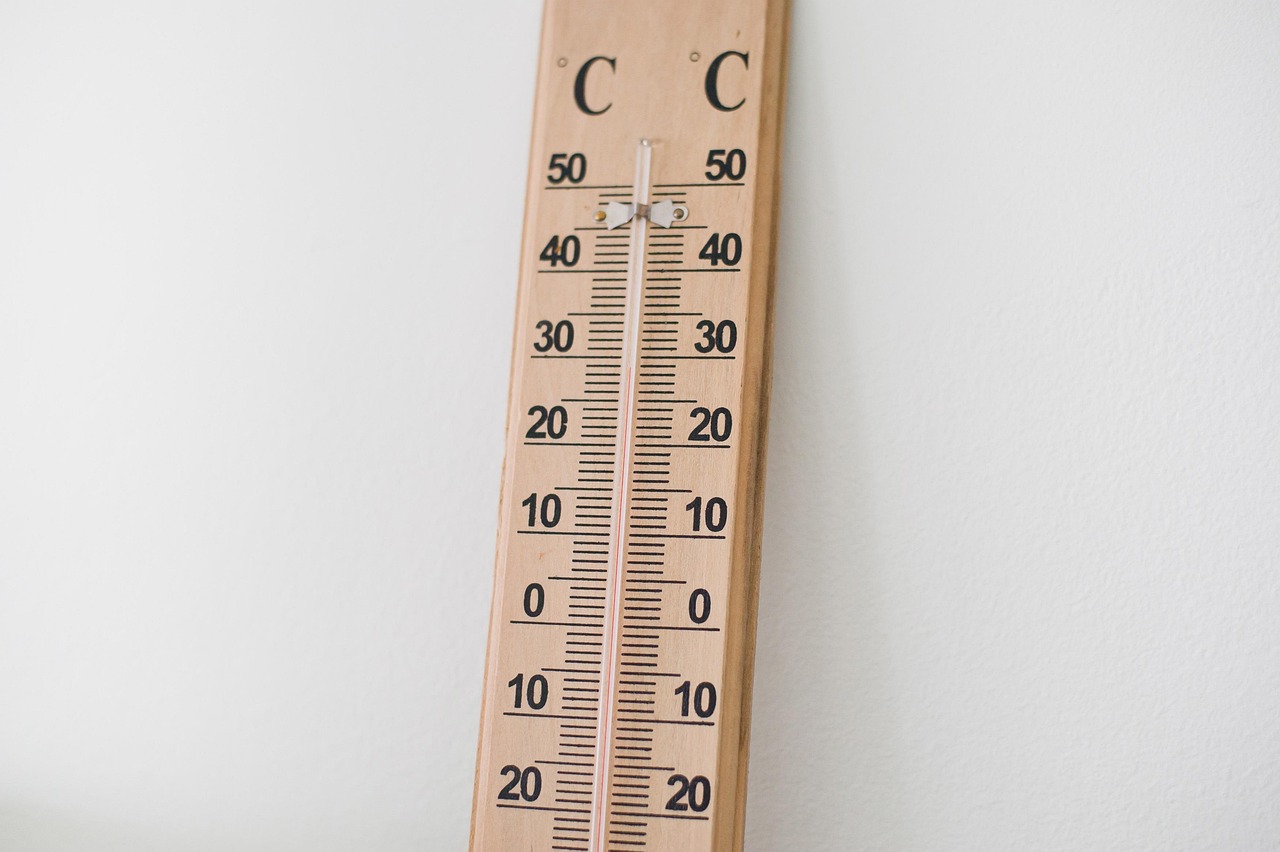 Digital meat thermometer checking meat temperature