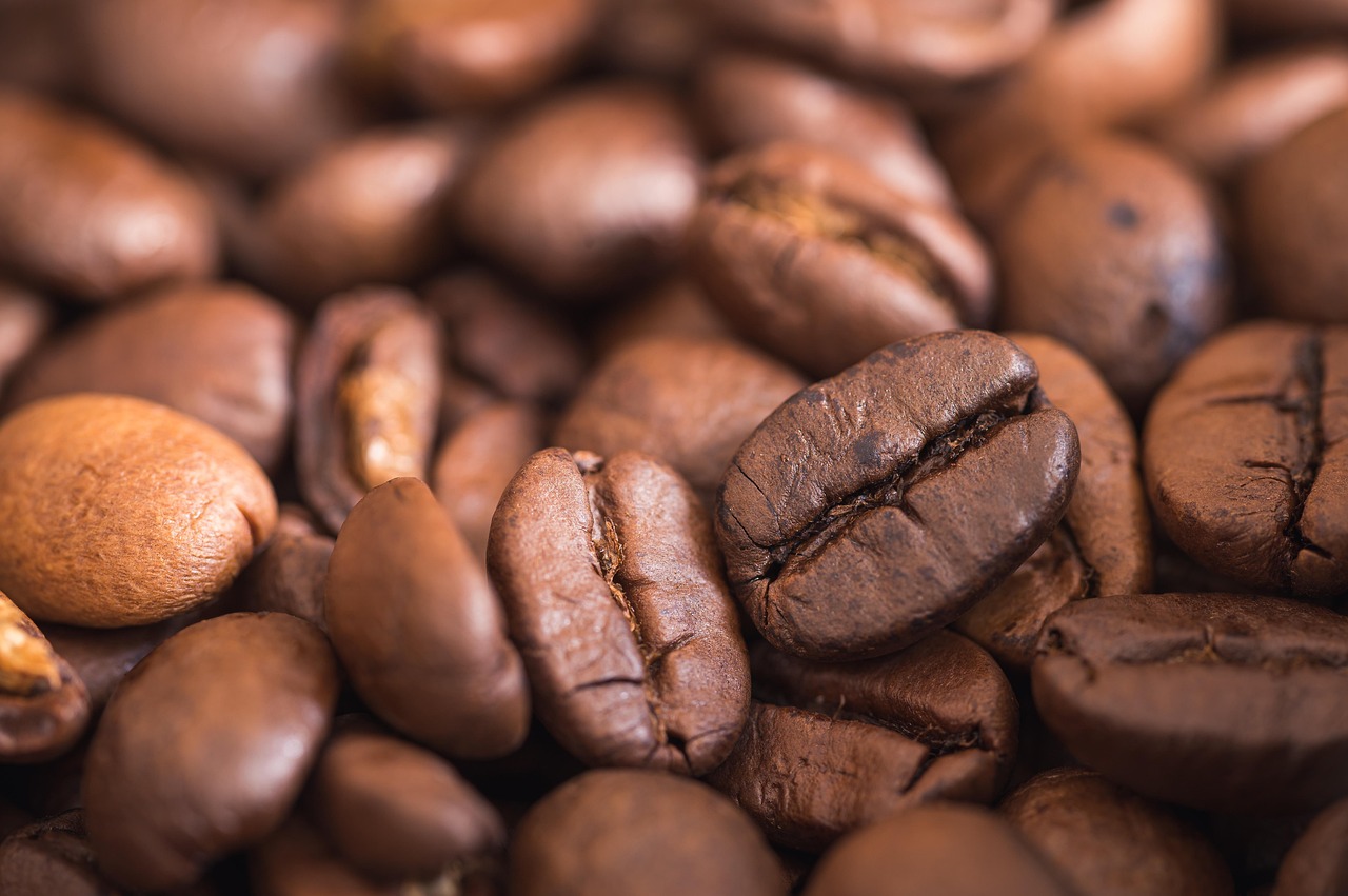 Coffee grinder with fresh beans