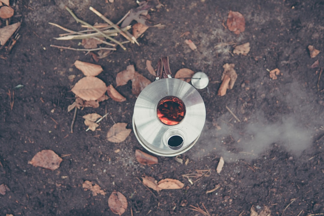 Electric kettle boiling water on counter
