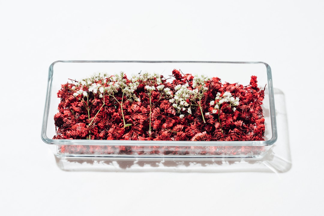 Glass meal prep containers organized in freezer with labels visible