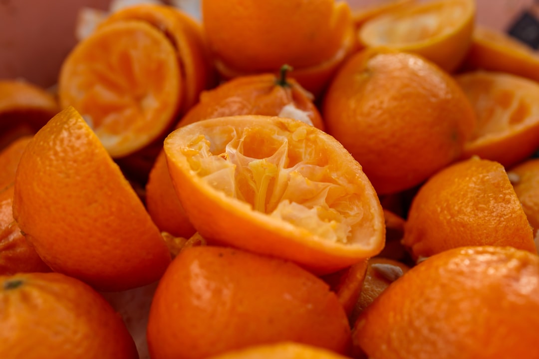 citrus lemon press juicer