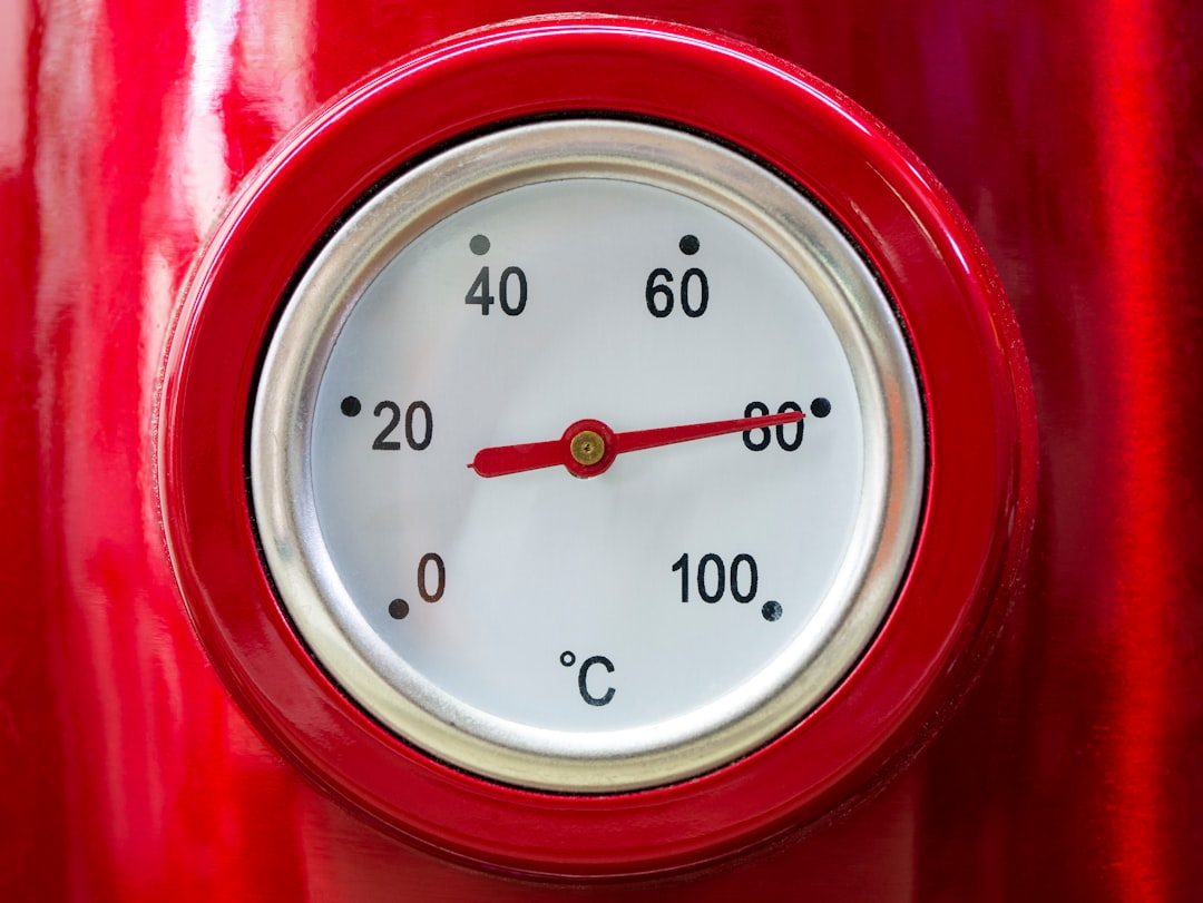 Close-up of meat thermometer probe
