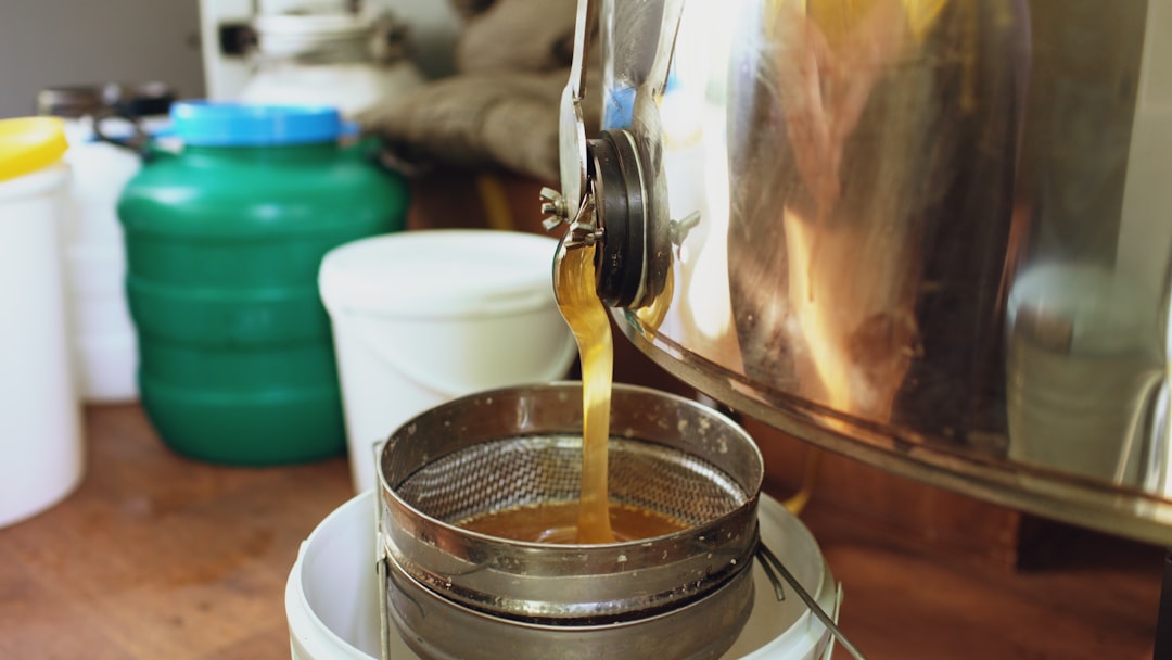 Stainless steel centrifugal juicer with whole apples ready to juice