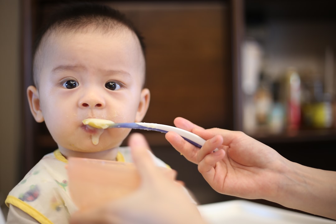 Homemade baby food puree