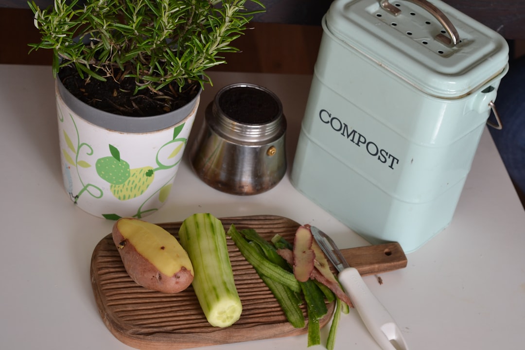 Food scraps being collected for composting