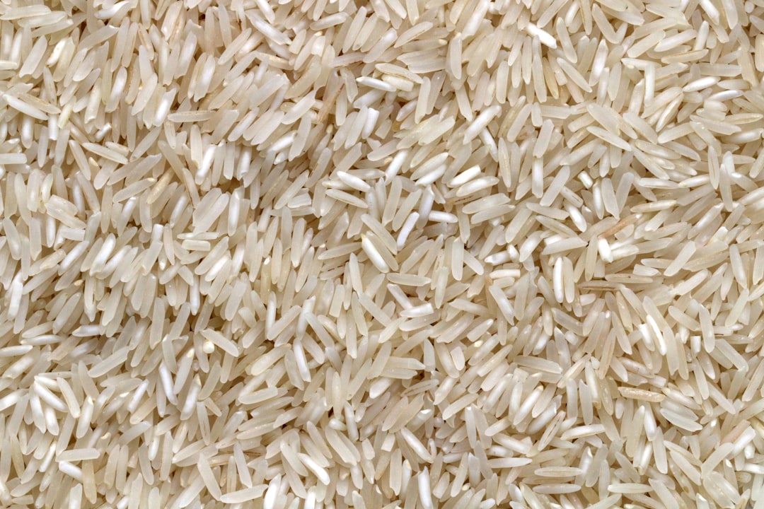 Close-up of basmati rice grains