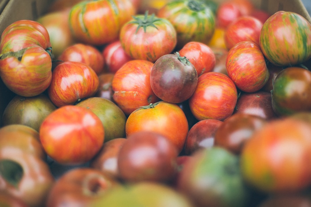 Colorful variety of heirloom tomatoes