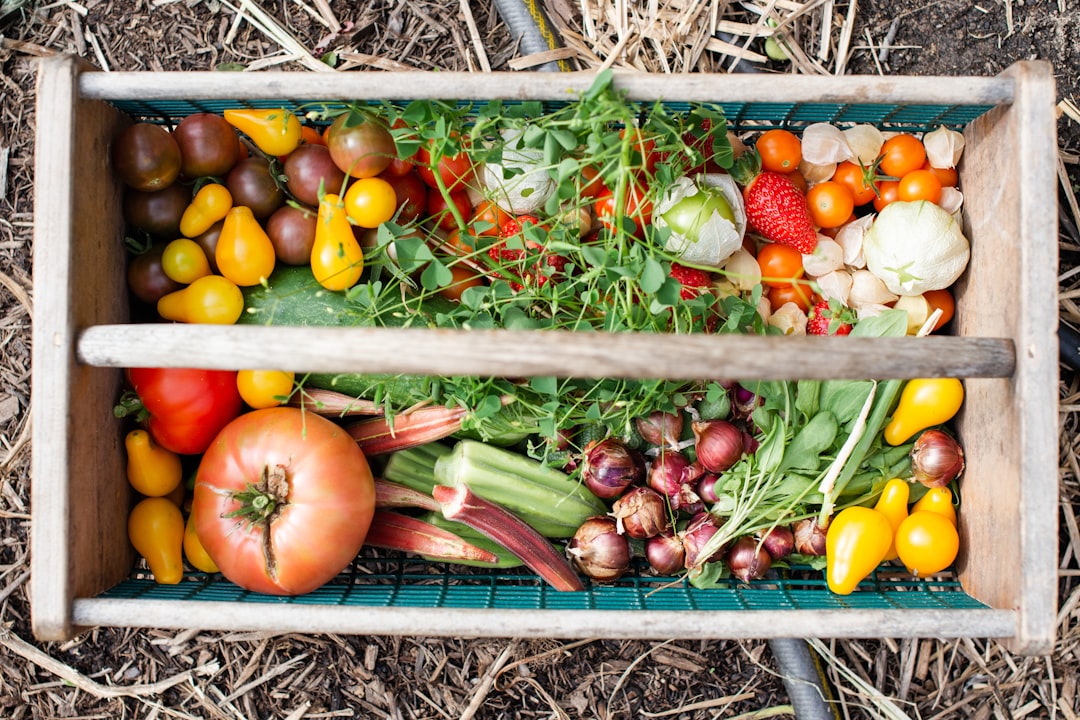 A wooden basket overflowing with freshly harvested garden tomatoes