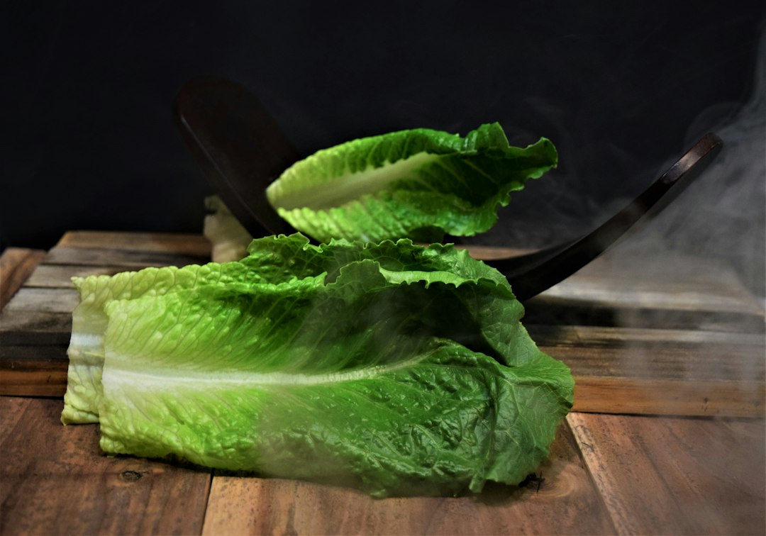 Fresh washed romaine lettuce leaves spread out drying on a wooden surface