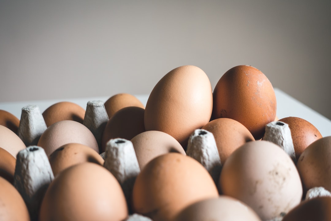 Farm fresh brown eggs in a cardboard carton
