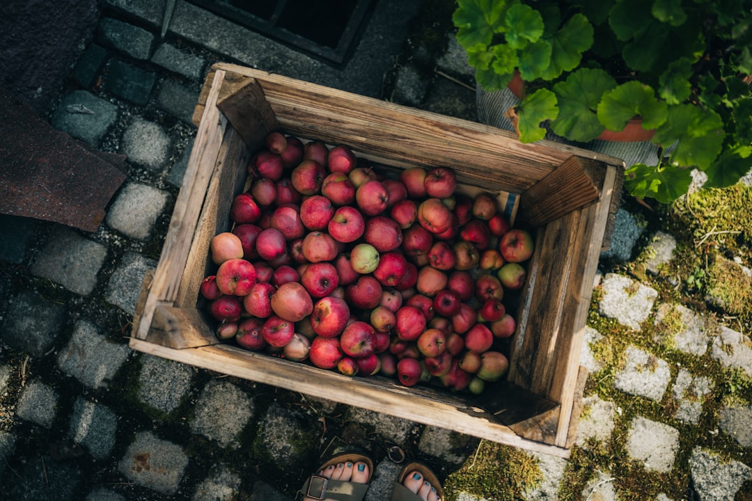 A wooden crate of red apples in storage