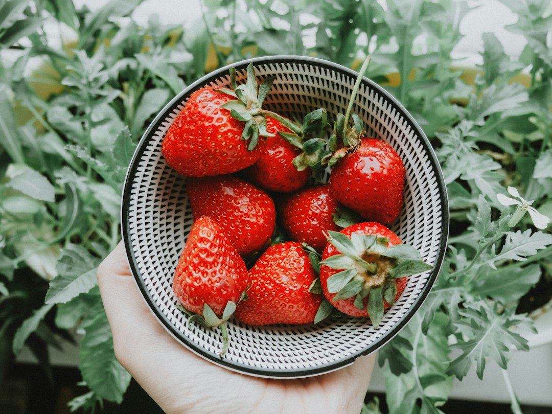 Hands holding a fresh bowl of ripe strawberries outdoors