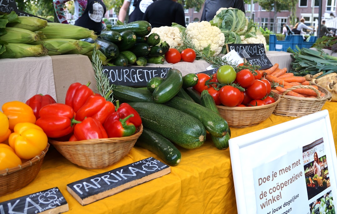 A basket of fresh zucchini and garden vegetables from the September harvest