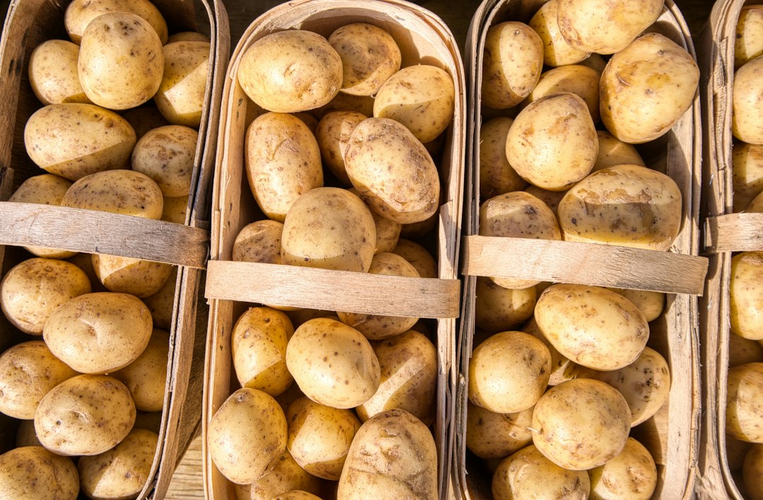 Baskets of yellow potatoes at a market stall