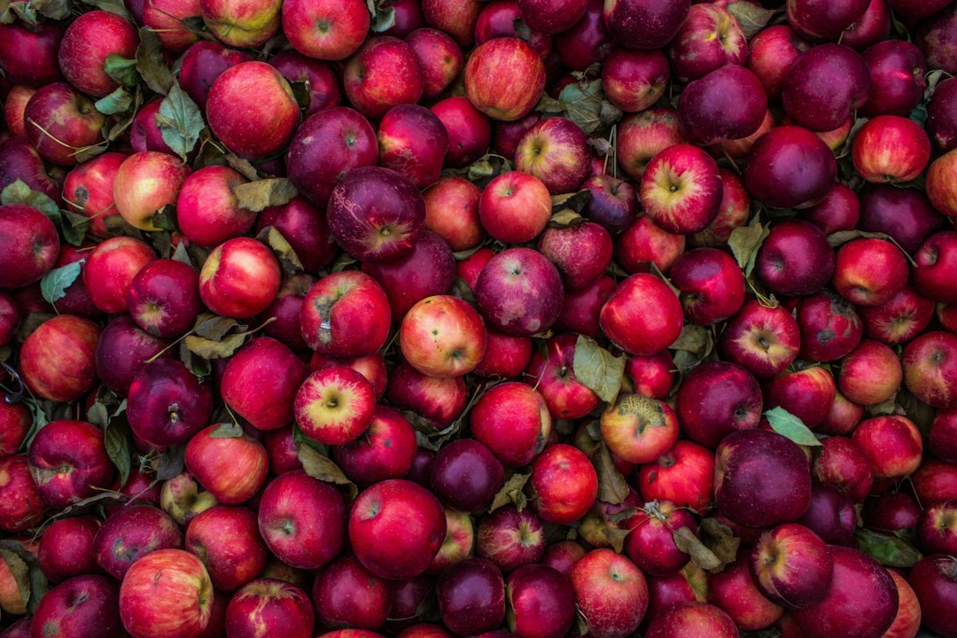 A wooden crate overflowing with fresh autumn apples in a fall kitchen