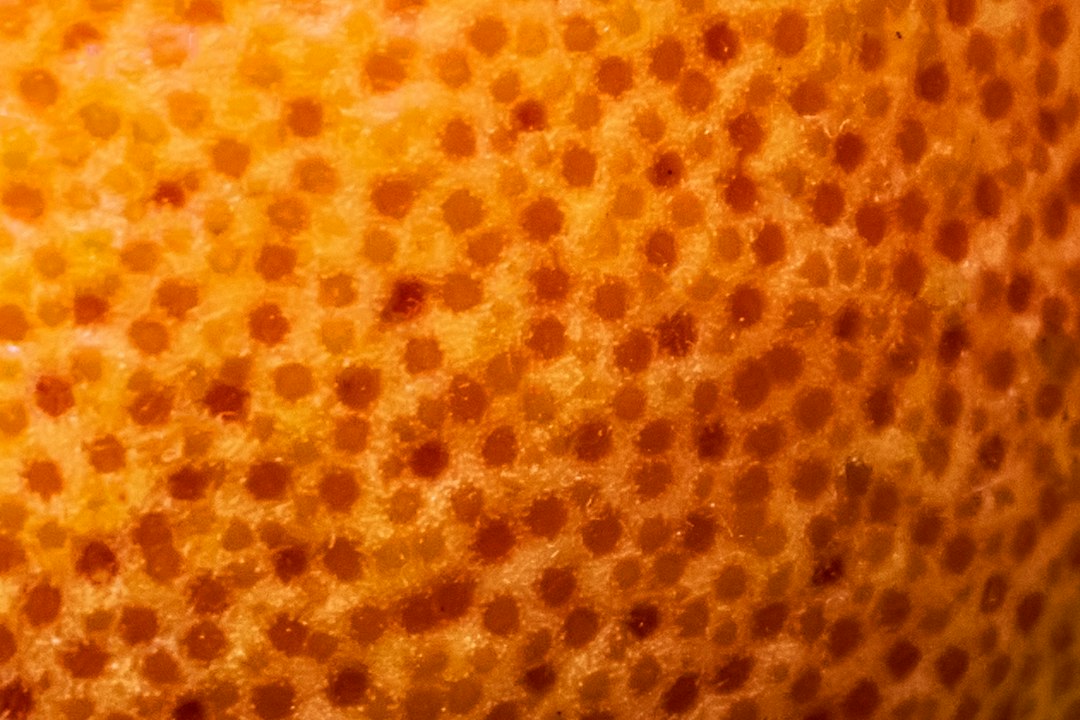 Long strips of orange peel and zest